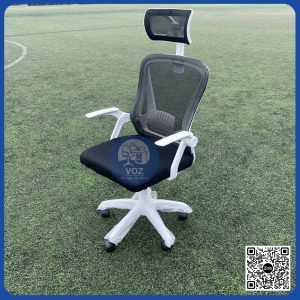 Ghế công thái học (CTH-DP100) Ghế công thái học (CTH-DP100)