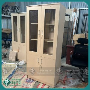 Tủ văn phòng đựng hồ sơ, tài liệu bằng gỗ 2 cánh kính (TVPG-01)